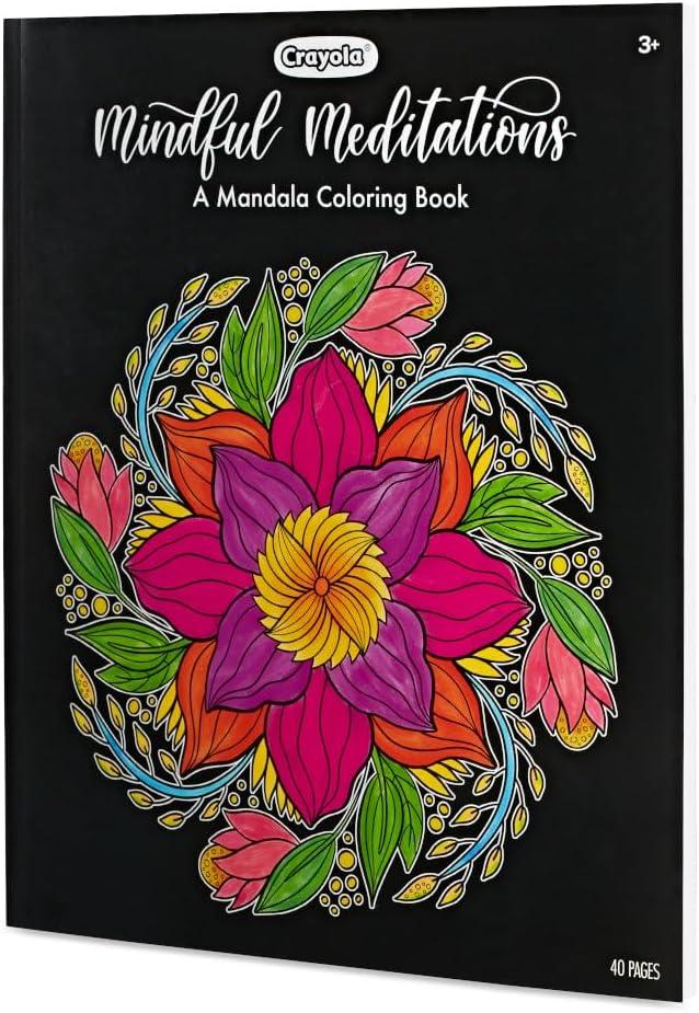 imageCrayola Color and Erase Reusable Activity Board Gift for Kids Ages 3 4 5 6