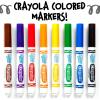 Crayola 12 Count Washable Bulk Markers, Green(Black)