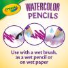 Crayola Watercolor Colored Pencils (24ct), Watercolor Paint Alternative, Watercolor Pencil Set for Kids, Art Supplies, Gift for Kids, 3+(1 Count (Pack of 1))