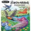 Crayola Tropical Garden Adult Coloring Book (40pgs), Adult Coloring Pages, Stress Relief Activity, Gift for Teens & Adults, 9+(BirdWatching)