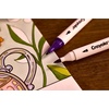 Crayola Dual-Tip Alcohol Marker Set for Adults (120ct), Bulk Adult Coloring Book Markers for Blending, Shading & Layering, Fine & Brush Tips [Amazon Exclusive](Stay Hydrated)