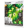 Crayola Dual-Tip Alcohol Marker Set for Adults (120ct), Bulk Adult Coloring Book Markers for Blending, Shading & Layering, Fine & Brush Tips [Amazon Exclusive](Plant Lady)