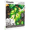 Crayola Dual-Tip Alcohol Marker Set for Adults (120ct), Bulk Adult Coloring Book Markers for Blending, Shading & Layering, Fine & Brush Tips [Amazon Exclusive](Plant Lady)