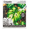 Crayola Dual-Tip Alcohol Marker Set for Adults (120ct), Bulk Adult Coloring Book Markers for Blending, Shading & Layering, Fine & Brush Tips [Amazon Exclusive](Plant Lady)